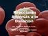 Reacciones Adversas a la Donación. Dra. Ana María Núñez de Presti Hematólogo Banco de Sangre - Unidad Central Maracaibo