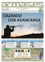 CAZANDO CON AVANCARGA