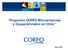 Programa CORFO Microempresa y Cooperativismo en Chile