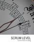 SCRUM LEVEL Guía para evaluación de la agilidad 1.02