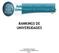 RANKINGS DE UNIVERSIDADES