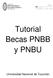 Tutorial Becas PNBB y PNBU