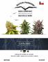 Catálogo de semillas de cannabis