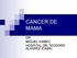 CANCER DE MAMA DR. MIGUEL SAMEC HOSPITAL DR. TEODORO ALVAREZ (CABA)
