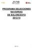 PROGRAMA SELECCIONES NAVARRAS DE BALONCESTO 2013/14