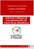 CONCLUSIONES NUEVAS FORMAS DE COLABORACIÓN EN CRUZ ROJA ESPAÑOLA
