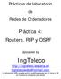 Prácticas de laboratorio de Redes de Ordenadores. Práctica 4: Routers. RIP y OSPF. Uploaded by. IngTeleco