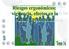 OBJETIVOS. de evaluación n de riesgos 6. Explicar la vigilancia de la salud de la población trabajadora 7. Identificar las estrategias de prevención