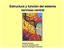 nervioso central Annabel Ferreira Curso de Fisiología 2010 Sección Fisiología y Nutrición