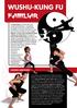 WUSHU-Kung fu familiar