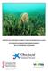 HÁBITATS DE POSIDONIA OCEANICA: CENSO DE NACRAS (Pinna nobilis) EN ESPACIOS NATURALES PROTEGIDOS MARINOS DE LA COMUNIDAD VALENCIANA