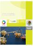 Informe de Rendición de Cuentas de la Administración Pública Federal 2006 2012.