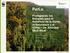 ParLu. Protegiendo los Bosques para el Beneficio de la Gente, la Naturaleza y el Clima Un Enfoque Multi-Nivel. WWF Paraguay WWF Alemania BMU - ICI
