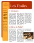 Los Fósiles. 1. Introducción. 2. Qué son los Fósiles? PUN TOS DE. Introducción. Qué son los fósiles? Factores que influyen en la fosilización