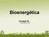 Bioenergética. Unidad XI