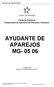AYUDANTE DE APAREJOS MG- 05 06