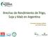 Brechas de Rendimiento de Trigo, Soja y Maíz en Argentina. Fernando Aramburu Merlos Juan Pablo Monzon