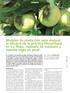 Modelos de predicción para mejorar la eficacia de la práctica fitosanitaria en La Rioja: moteado de manzano y mancha negra en peral