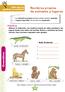 Gramática. Nombres propios de animales y lugares