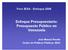 Enfoque Presupuestario: Presupuesto Público en Venezuela