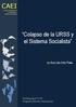 CAEI. Colapso de la URSS y el Sistema Socialista. by Ana Lilia Ortiz Plata. Working paper N 63 Programa Derecho Internacional