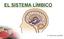 EL SISTEMA LÍMBICO. M. Ruth Álvarez Quintillán.