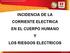 INCIDENCIA DE LA CORRIENTE ELECTRICA EN EL CUERPO HUMANO Y LOS RIESGOS ELECTRICOS