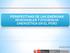 PERSPECTIVAS DE LAS ENERGÍAS RENOVABLES Y EFICIENCIA ENERGÉTICA EN EL PERÚ