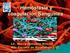 Hemostasia y coagulación Sanguínea. Lic. Maczy González Rincón MSc Escuela de Bioanálisis LUZ