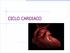 CICLO CARDIACO. El ciclo cardíaco es la secuencia de hechos mecánicos que se producen durante un único latido cardíaco.