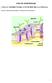 GUÍA DE APRENDIZAJE UNIDAD: ESTRUCTURA Y FUNCIÓN DE LA CÉLULA. Unidad1: Membrana plasmática y mecanismos de transporte