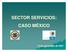 SECTOR SERVICIOS: CASO MÉXICO