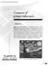 ACTA Comprar el àtipos de telescopios En la composición de un telescopio se emplean diversos elementos, que pueden variar dependiendo del tipo que sea