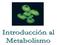 Metabólismo-Reacciones metabólicas