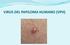 VIRUS DEL PAPILOMA HUMANO (VPH)