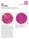 Petrifilm Recuento de Enterobacteriaceae