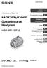 Guía práctica de Handycam