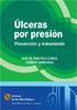 Prevención y tratamiento de las úlceras por presión. Guía de práctica clínica