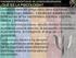 Marco teórico DIMENSIONES: La dimensión estructural La dimensión funcional La dimensión comportamental