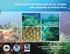 Guía para la identificación de los corales más comunes en Puerto Rico