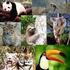 La biodiversidad, existen muchísimas especies!