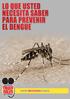 Transmisión del Dengue. Tipos de Dengue