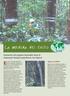 En lo alto de la selva tropical de. Evaluación del progreso alcanzado hacia la ordenación forestal sostenible en los trópicos. Qué es la OIMT?