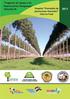 Instituto Forestal Nacional Dirección General de Plantaciones Forestales. Proyecto Promoción de plantaciones forestales Informe Final