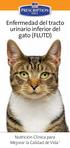 Enfermedad del tracto urinario inferior del gato (FLUTD)