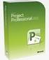 Microsoft Project Professional