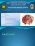 Anatomía, embriología, fisiología y anormalidades congénitas del esófago