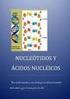 7. Ácidos nucleicos - Actividades