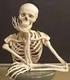 QUÉ ES EL ESQUELETO HUMANO?