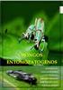 Capitulo II. Morfología de insectos